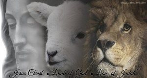 Jesus Christ Lamb of God Lion of Judah