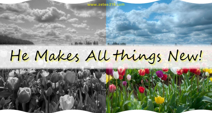 God Makes All Things New