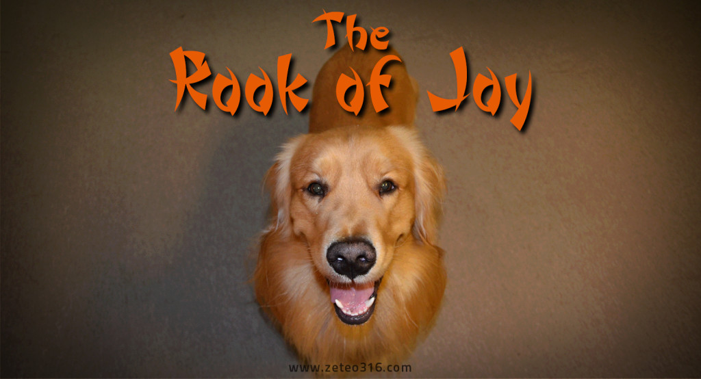 The Rook of Joy