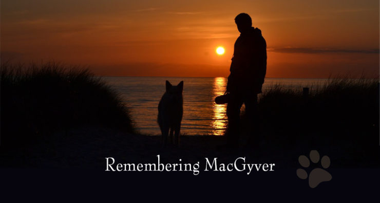 Remembering MacGyver