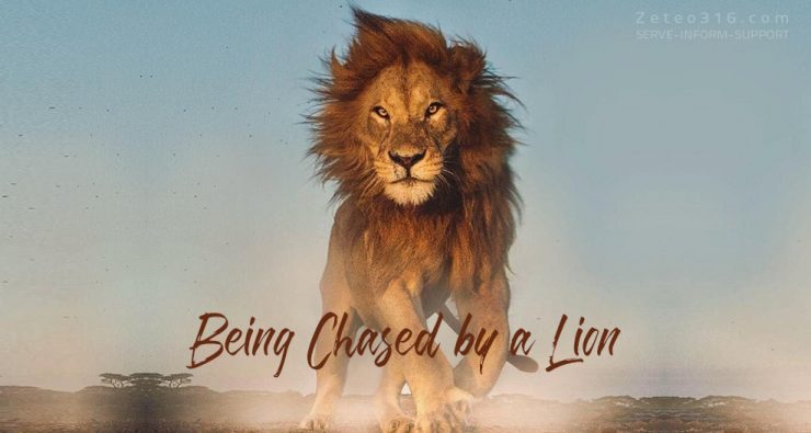 Being Chased by a Lion