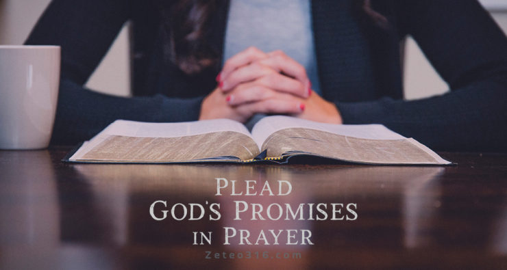 Plead God’s Promises in Prayer